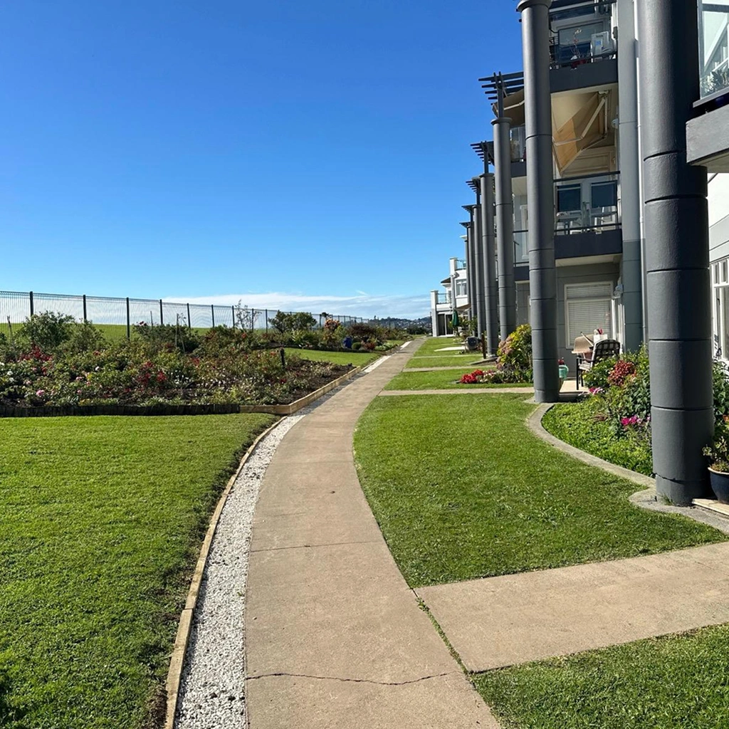 Garden transformation