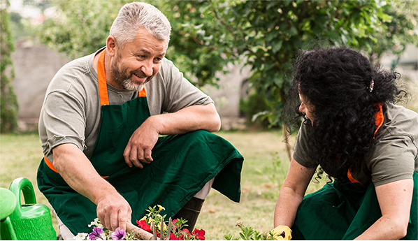 Professional landscapers working in garden